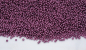 Preview: Sugar pearls medium glitter violet 40 g at sweetART